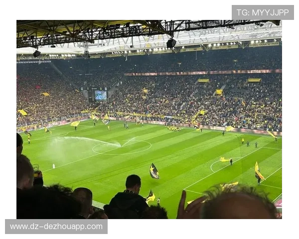 德甲俱乐部推进场馆智能化改造，提升观赛体验与商业价值